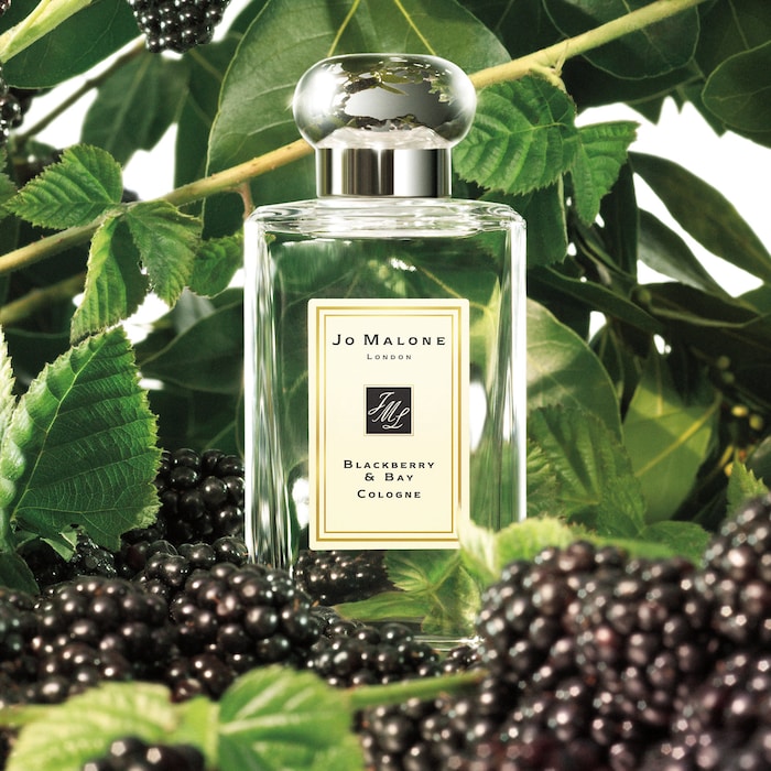 2024年最新】ブラックベリー u0026 ベイ – 公式おすすめの重ね付けコンバイニング7選 | JO MALONE コンバイニング辞典